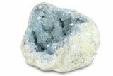 Crystal Filled Celestine (Celestite) Geode - Madagascar #293076-2